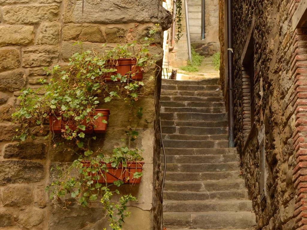 קורטונה B&B Vicolo Della Scala מראה חיצוני תמונה